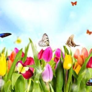 Meet your Posher, Cyndi